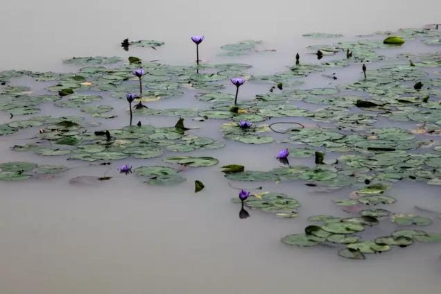 被遗忘的海南,海南被遗忘的浪漫之地