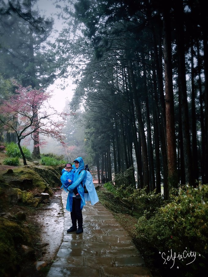 老爸追梦之旅,父亲的圆梦之旅