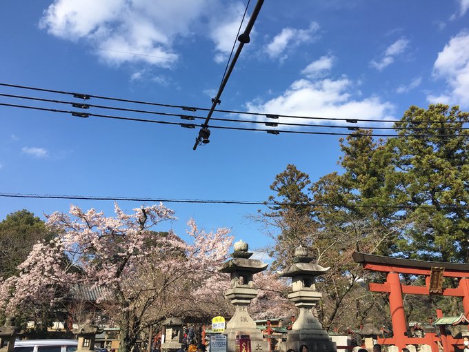 16年，关西（大阪，奈良，京都，宇治）樱花，甲子园