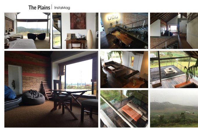 锡兰,九野,春天里@2016