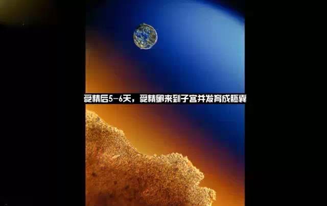 造人计划之前需要做的事,造人计划必须做的事