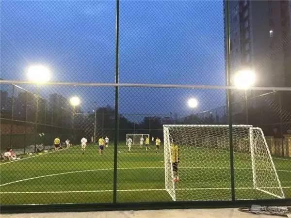 欧洲杯足球在哪里踢得好,欧洲杯足球场地在哪里