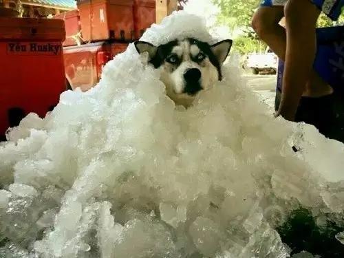 微信支付宝不实名认证能不能收钱,微信支付宝不实名能用吗