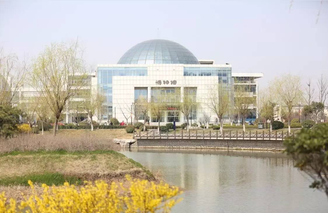 上帝之眼看临沂大学,你想要的和不知道的都在这里