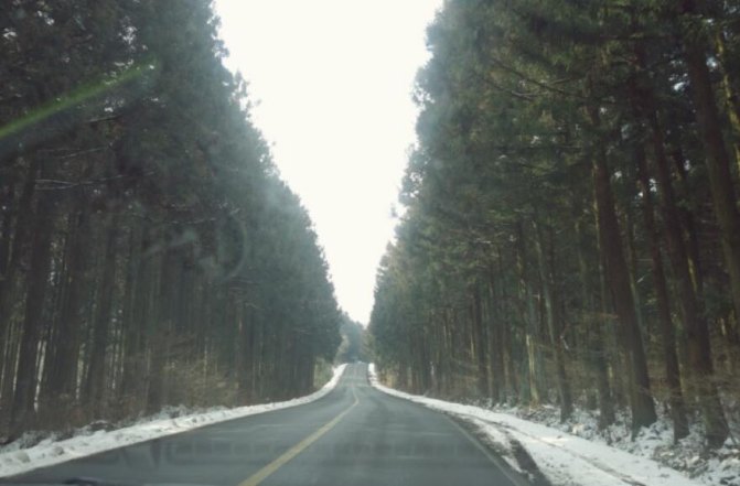 去济州岛旅游可以租车吗,济州岛租车需要什么手续