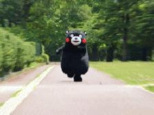 zara内部员工折扣几折,zara内部员工可以打折吗