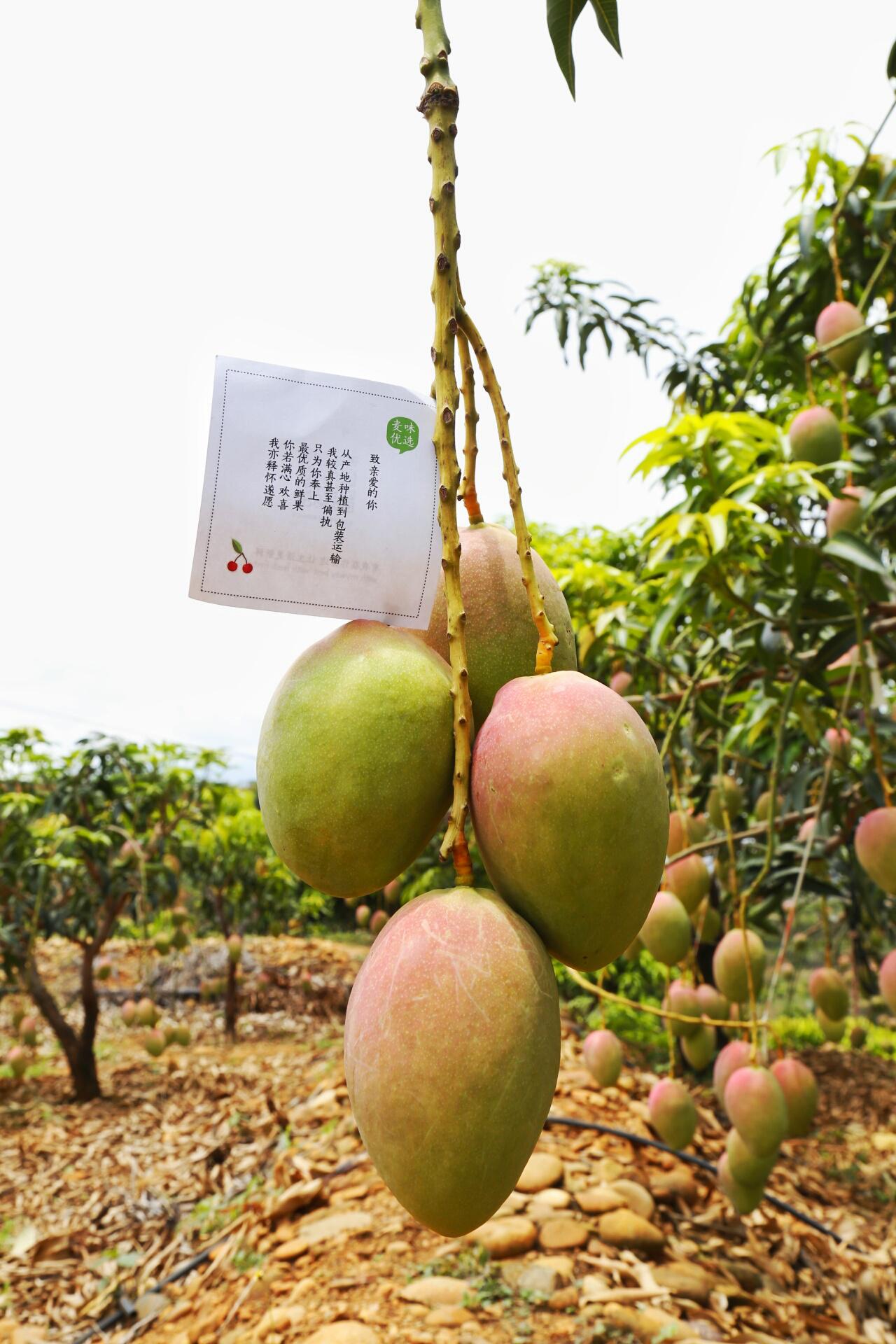 攀枝花料理,攀枝花最好吃的料理