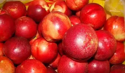 烟台常吃的水果有哪些,六月底七月初烟台的水果