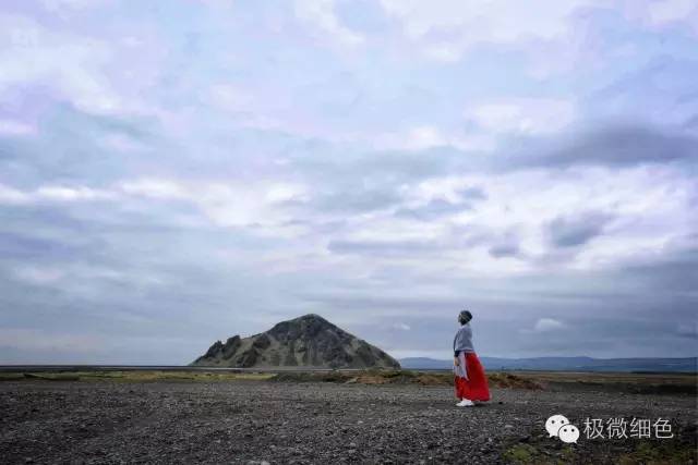 我在冰岛，带回一截漂亮的枯木