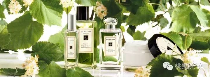 英国脱欧成功对英镑的走势影响,英镑脱欧英镑下跌多少