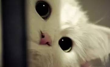 英国脱盟后的利弊,英国不欢迎去哪里旅游