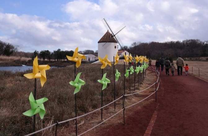 济州岛租车价格一览表,中国人如何在济州岛租车