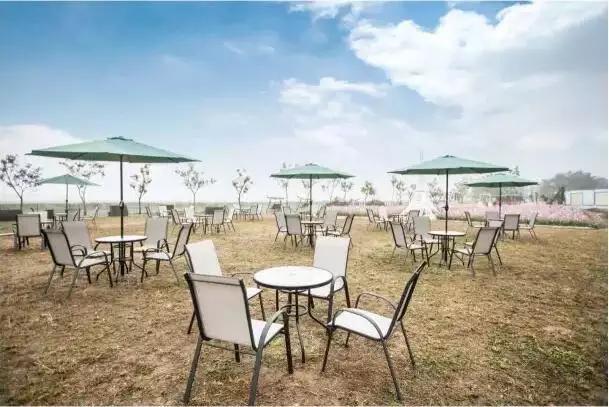 终于考完放假啦~炎炎夏日到紫溪半岛避暑玩水去~