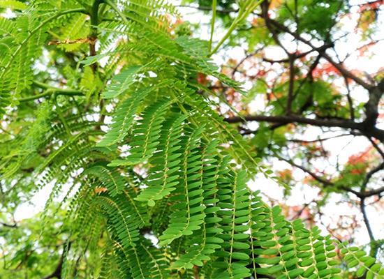 魅族红米3s测评,魅族699魅蓝3s