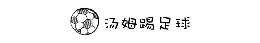 欧洲国家小孩足球的启蒙教育,欧洲杯锦标赛教育