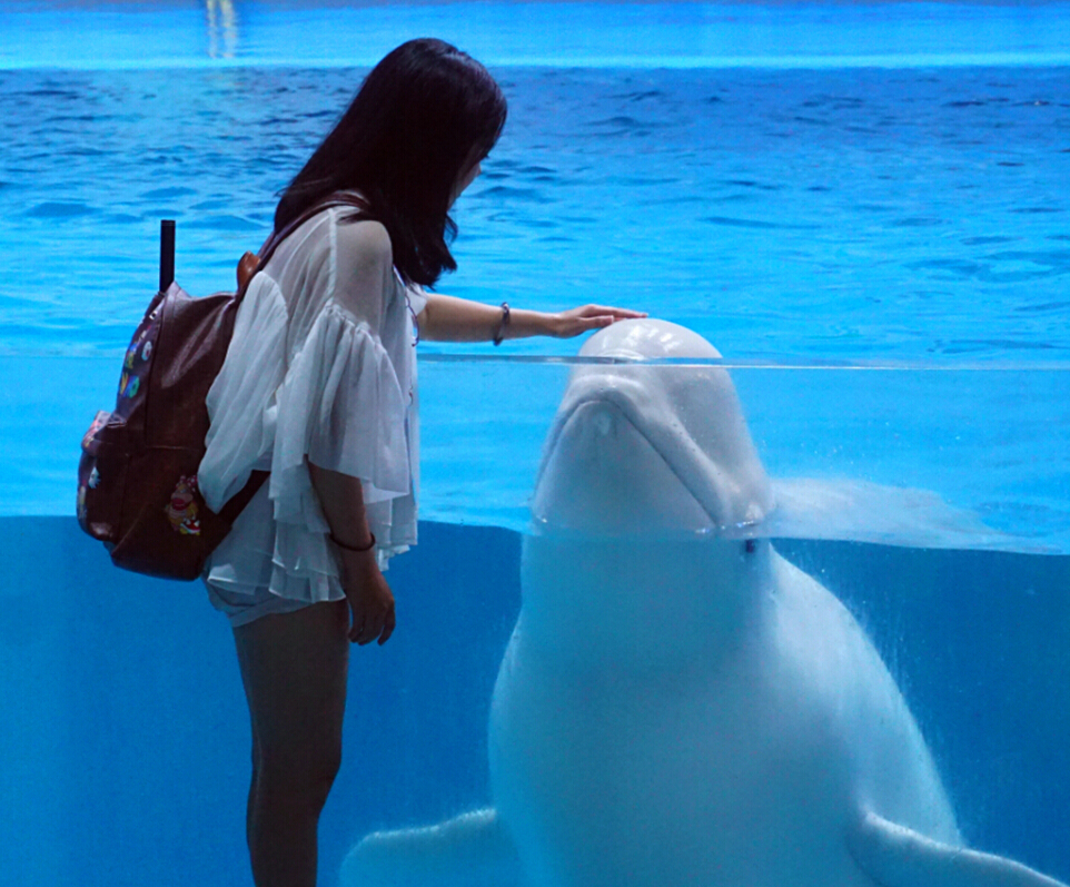 无锡夏天避暑,大热天无锡哪里避暑