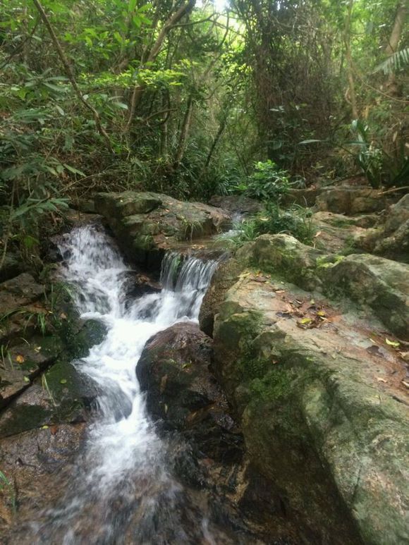 洞里发现玉石原石,洞里发现绿石