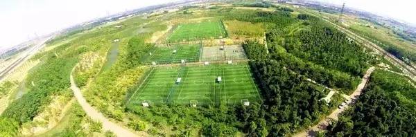 在家熬夜不如去蹦迪,在家熬夜看球的视频