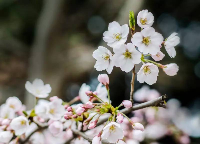 报考中国海洋大学，你要先想清楚这十个问题！
