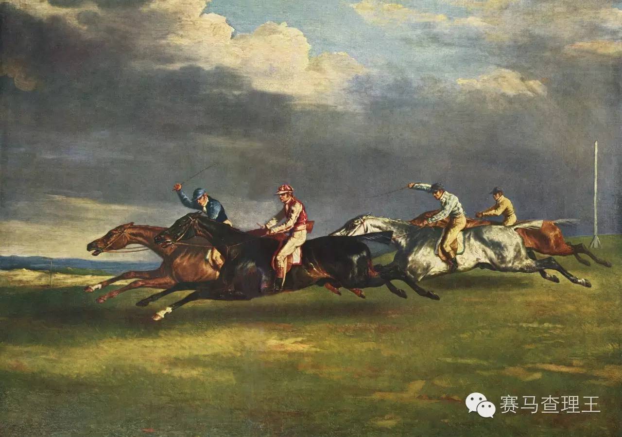 赛马知识小科普,赛马知识科普