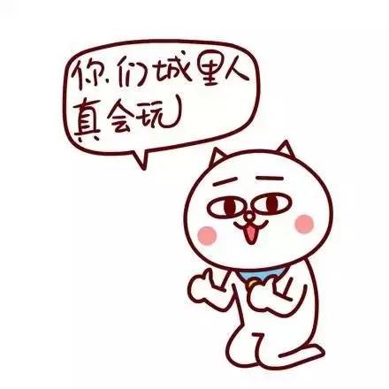 收益20%的理财真相,24年理财产品的平均收益