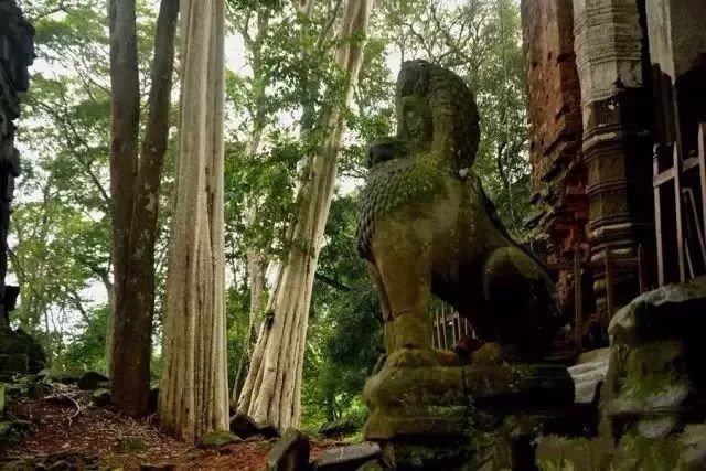 吳哥特色游-贡开,崩密列