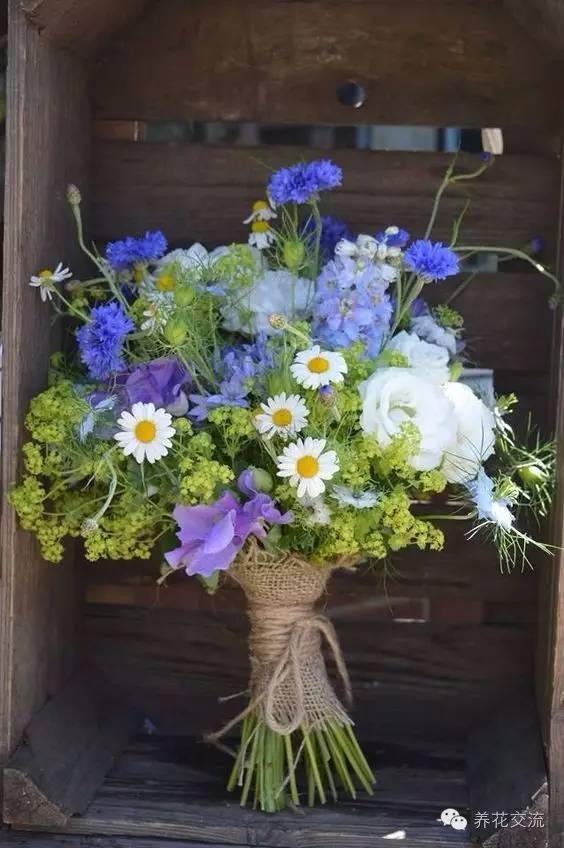 干花制作后怎么用,玫瑰干花怎么做成手工永久保存