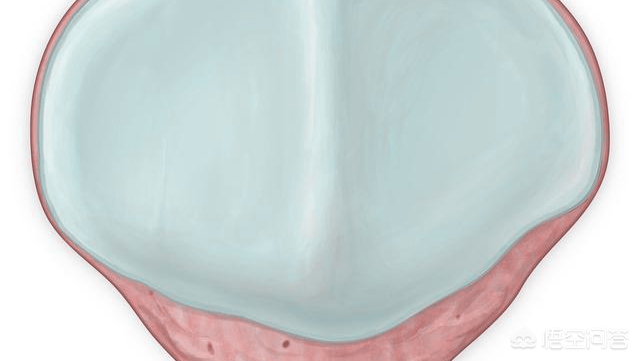 髌股关节软骨损伤能完全治愈吗,髌股骨软骨损伤