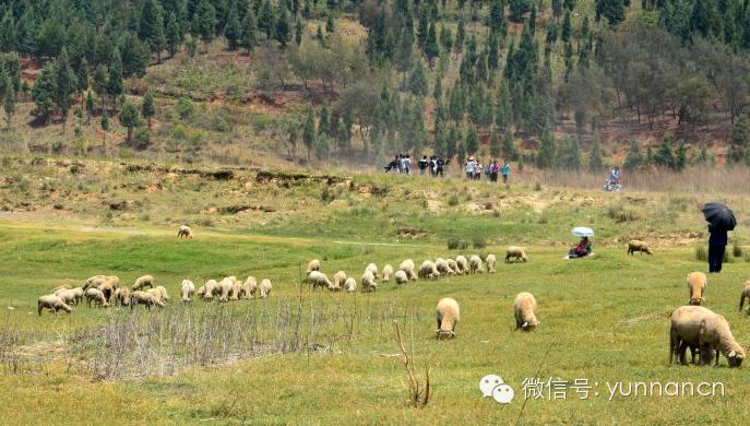 重庆至云南自驾游7天最佳路线,成都到云南自驾游最佳路线推荐