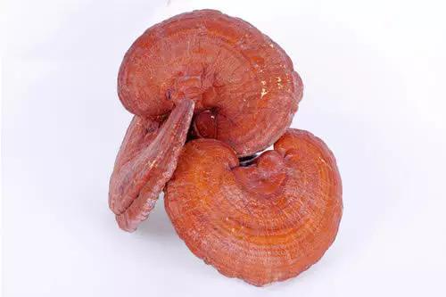 灵芝孢子粉对头晕有效吗,头晕眩晕吃灵芝孢子粉可以吗