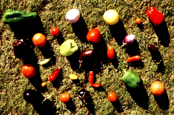 世纪之争解析,世纪之争