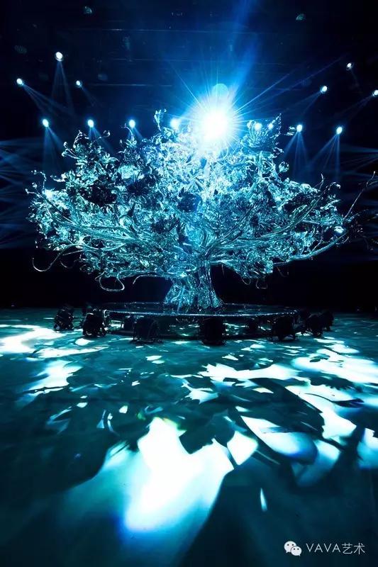 音乐家LisbethScott：通过音乐讲述树的故事