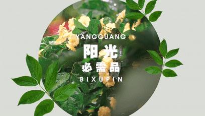 谢娜《偶像来了》官宣GIF动图来袭,果然清纯可爱够吓人!