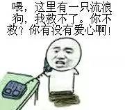 救助流浪猫狗视频,上海流浪猫狗救助中心