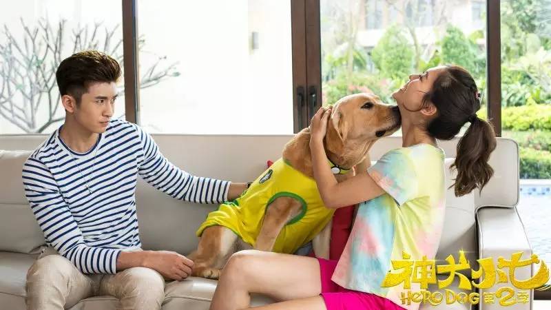 神犬小七2和麻辣变形计相同演员,神犬小七2麻辣变形计