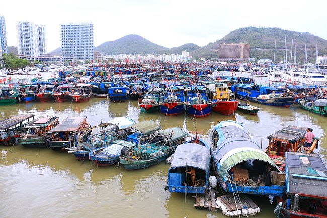用味蕾感受爱情的酸甜苦辣,用味蕾感受美食独特的魅力