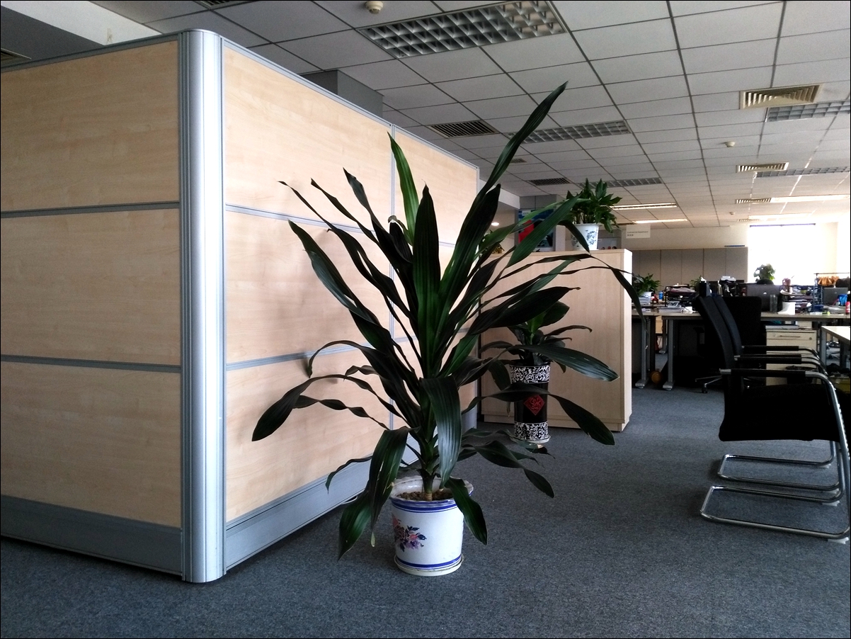 荣耀畅玩5a值得买吗,荣耀5a值得入手吗