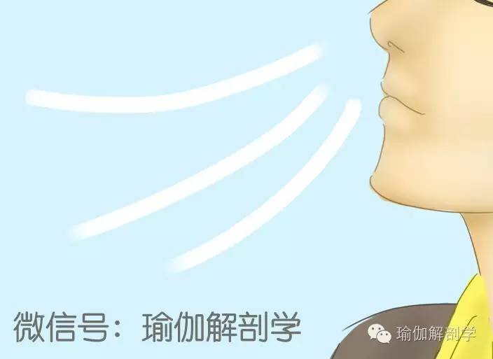 放松心情缓解压力音乐催眠曲,放松心情缓解压力的音乐歌曲