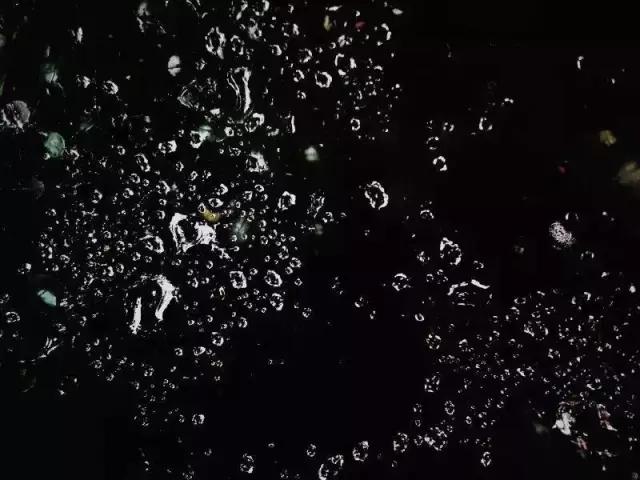 优秀手机摄影作品的五个要素,手机拍的作品