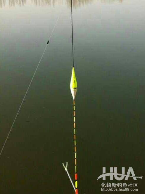 一味浮漂和小凤仙浮漂哪家的好,一味浮漂多少钱一个