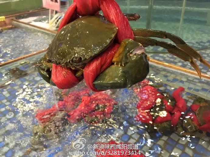 咸阳市吃海鲜的店,咸阳北门口海鲜美食