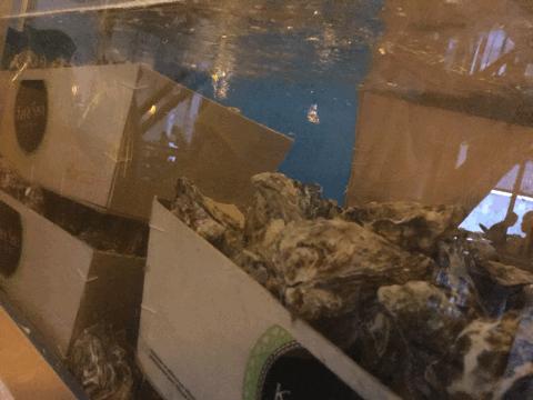 老板跑日本8年，只为带回太原最正的日料！花钱日下不如花钱月下