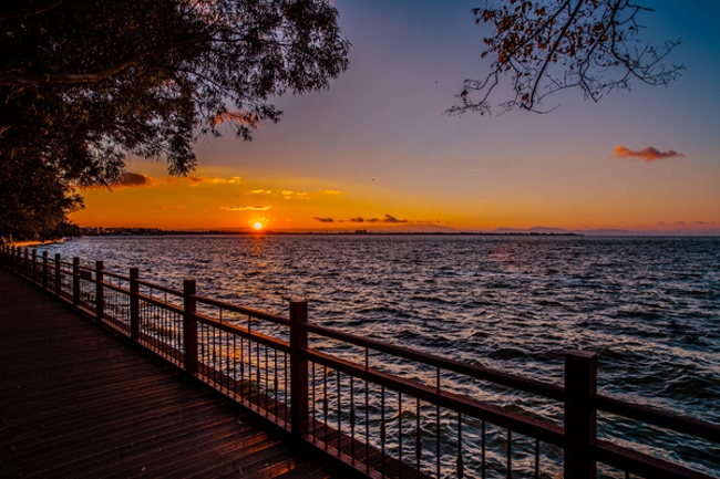 高洪波国足,国足本土教练高洪波
