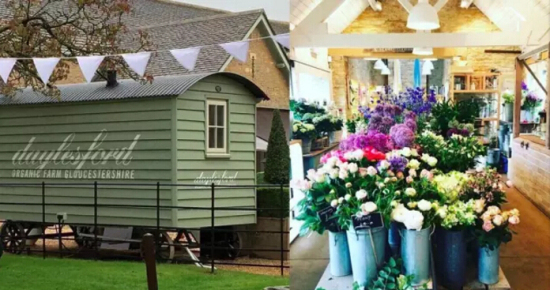 餐厅+商店伦敦DaylesfordOrganic高端有机