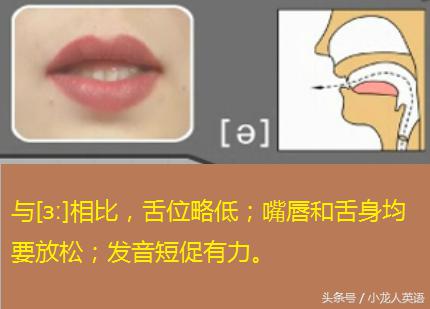 天天自学网上的软件是免费的吗,零基础自学英语音标