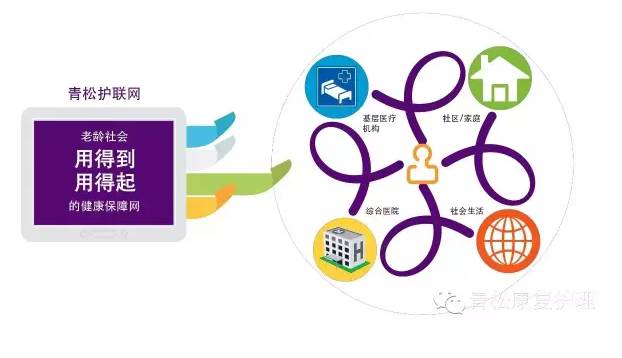 青松康护集团,青松居家康护