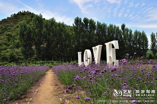 紫海香堤香草艺术庄园特色,紫海香堤香草艺术庄园怎么样