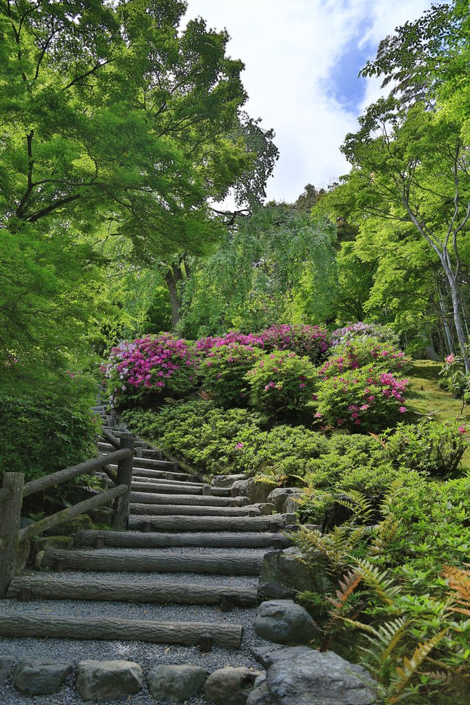 京都攻略,京都深度游玩攻略