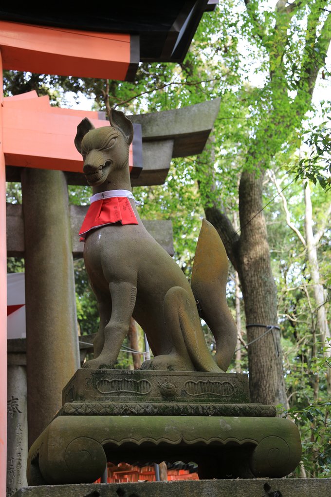 京都攻略,京都深度游玩攻略