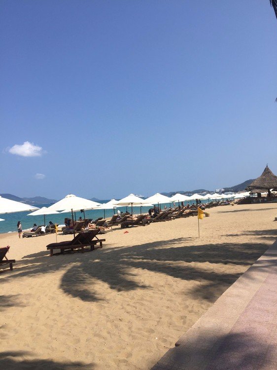 芽庄旅游自由行签证办理流程,去芽庄旅游如何办落地签证